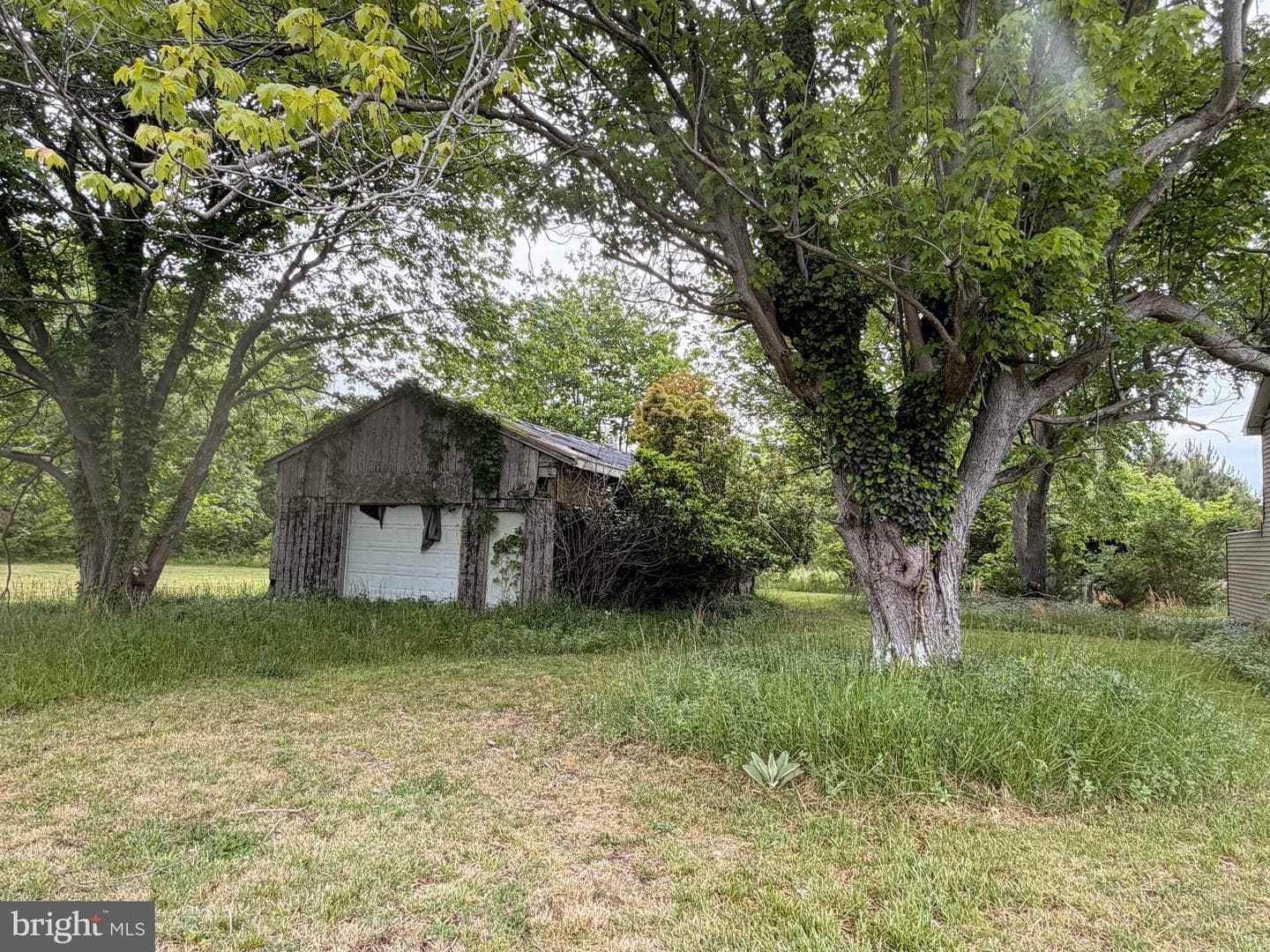 23686 Earl Webster Road photo 5