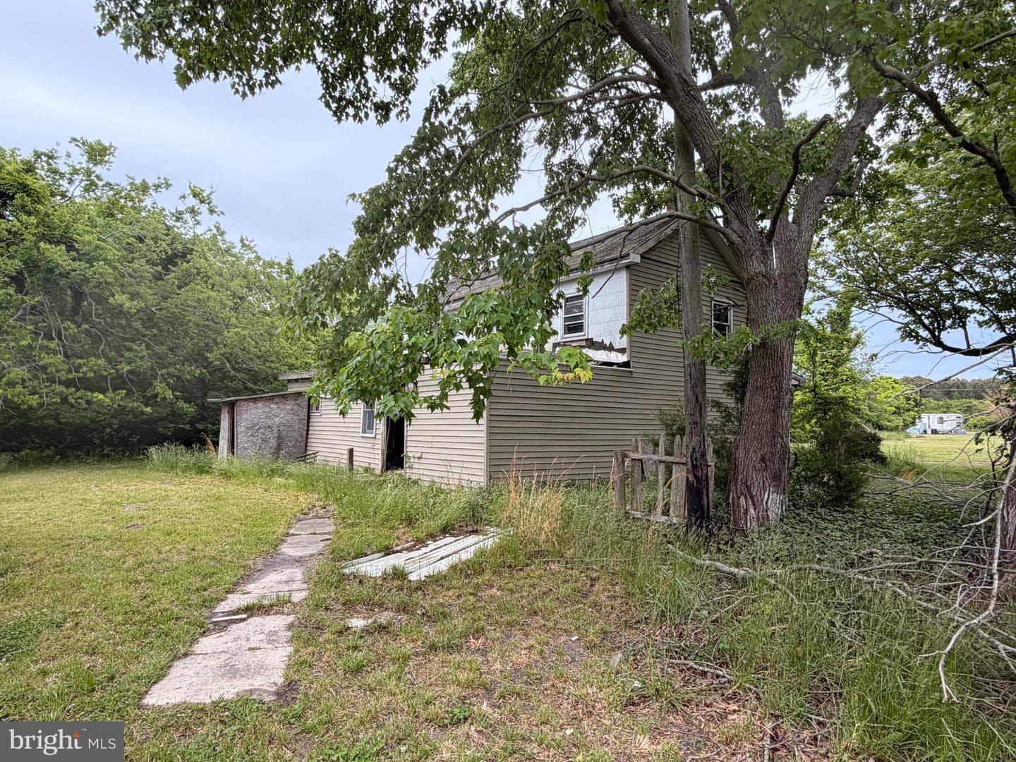 23686 Earl Webster Road photo 6