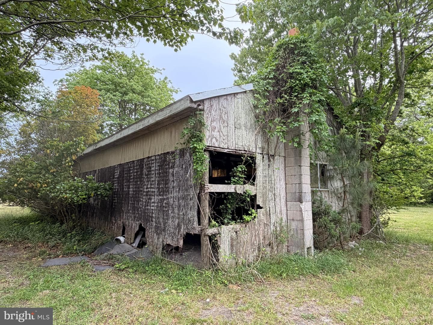 23686 Earl Webster Road photo 7