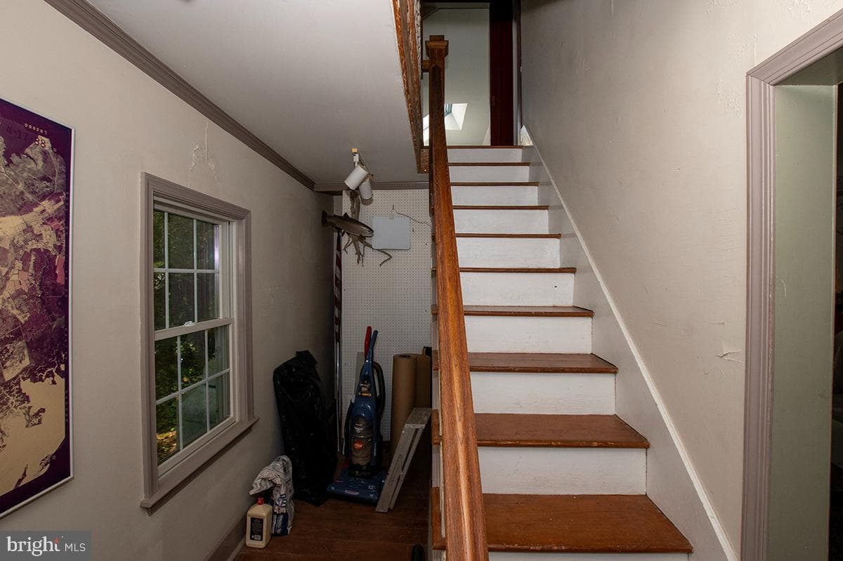 25678 Frenchtown Rd photo 22