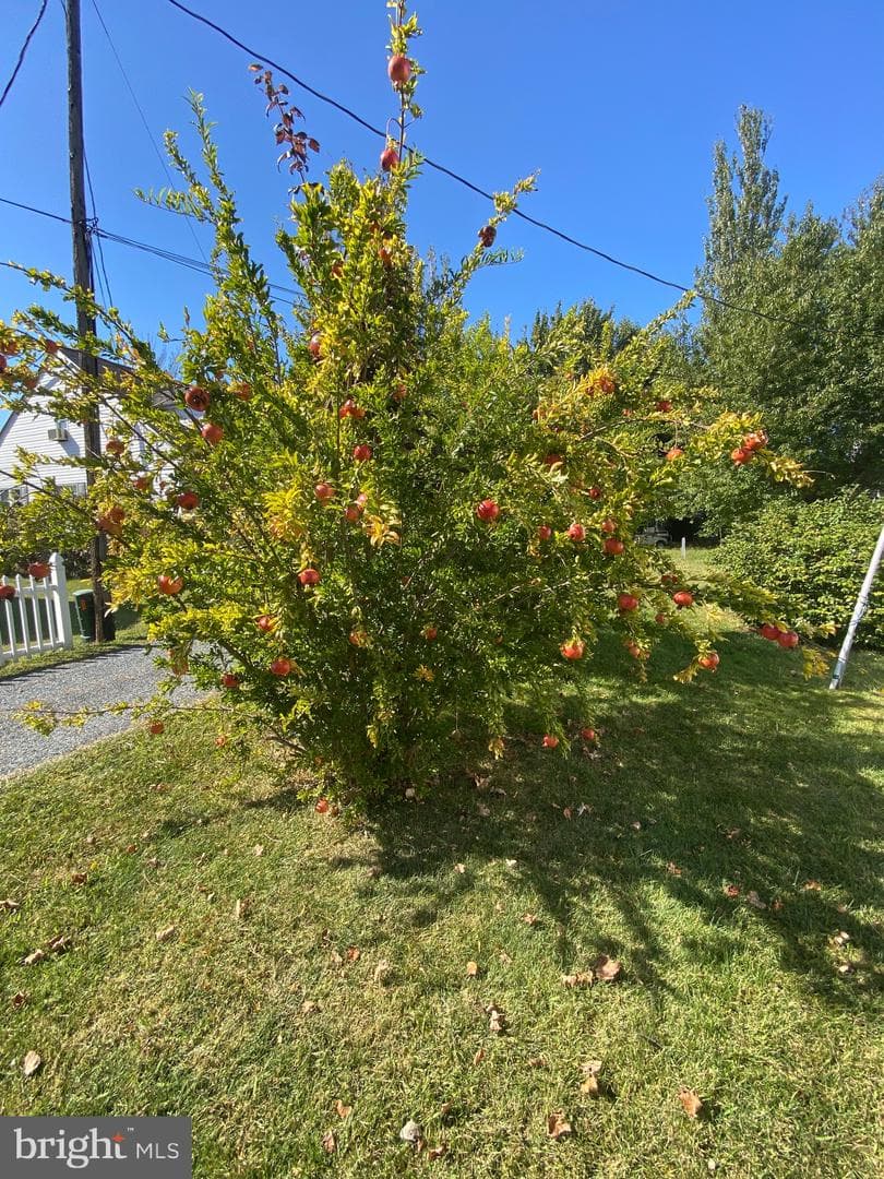 20805 Severn Road photo 27