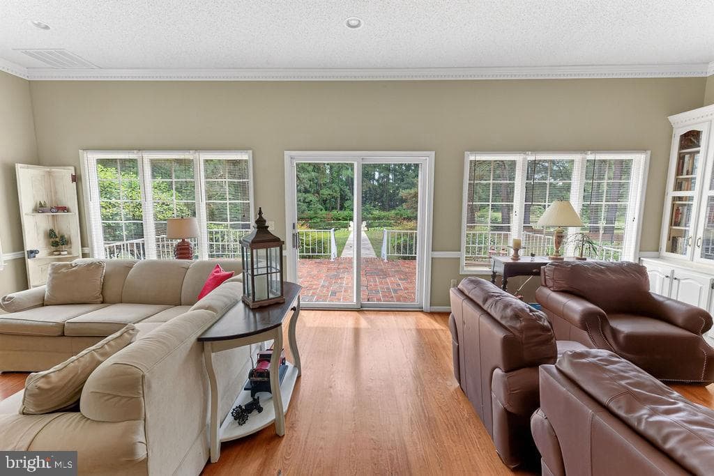 30124 Peggy Ln photo 17