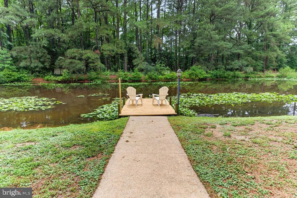 30124 Peggy Ln photo 51