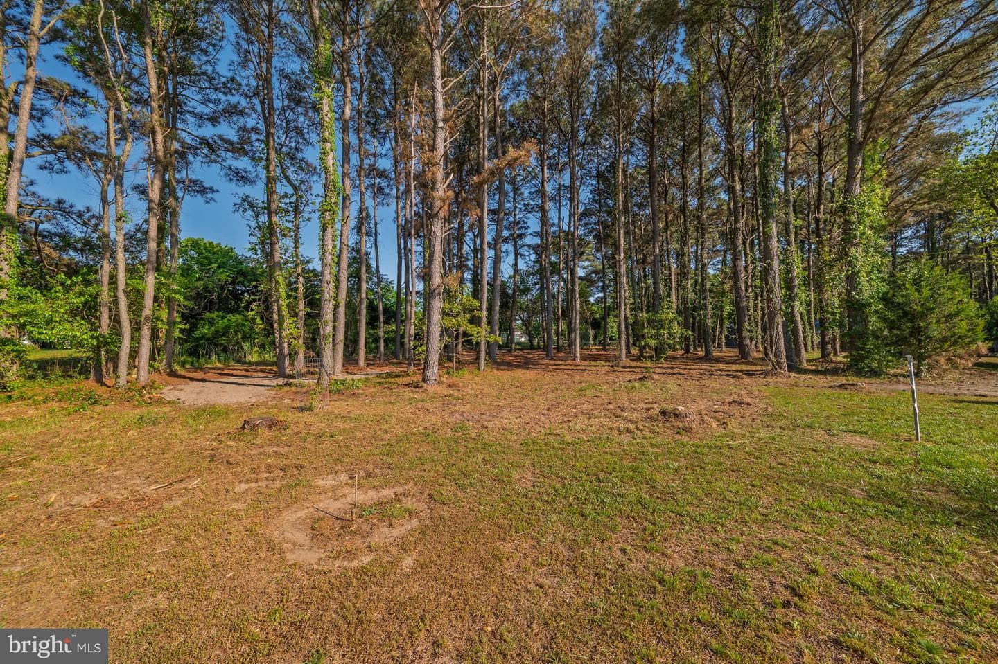 23163 Rolfe Lane photo 58