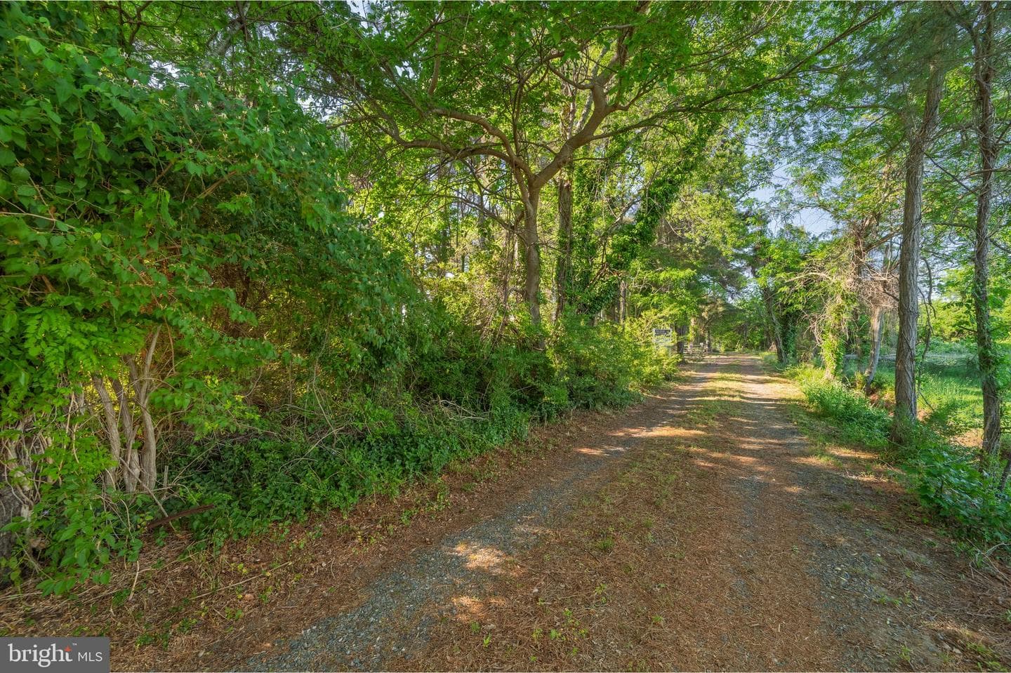 23163 Rolfe Lane photo 59