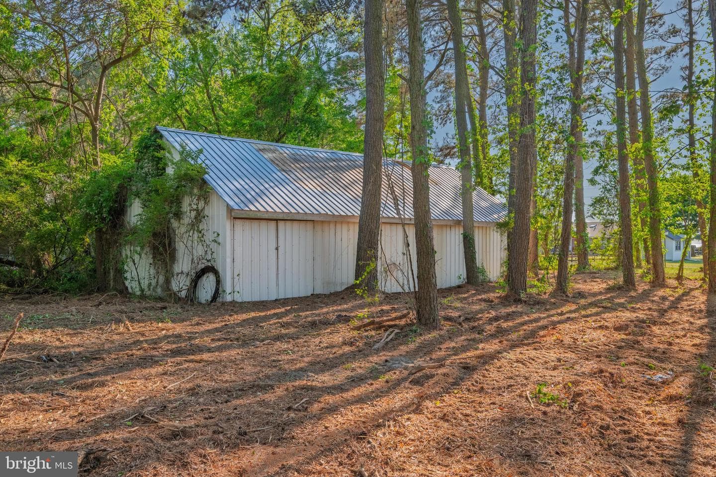 23163 Rolfe Lane photo 60