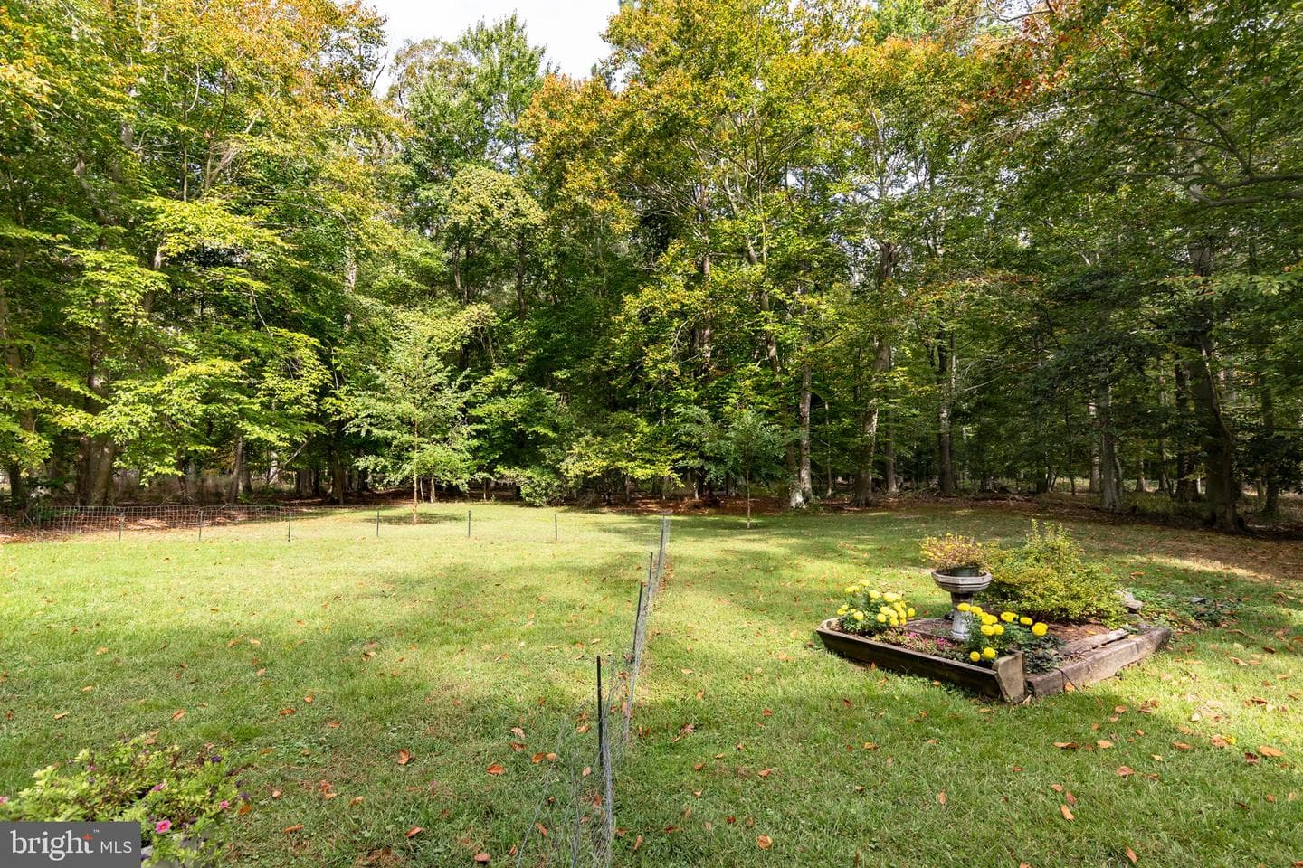 28380 Canvasback Lane photo 38