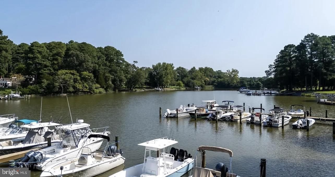 28380 Canvasback Lane photo 46