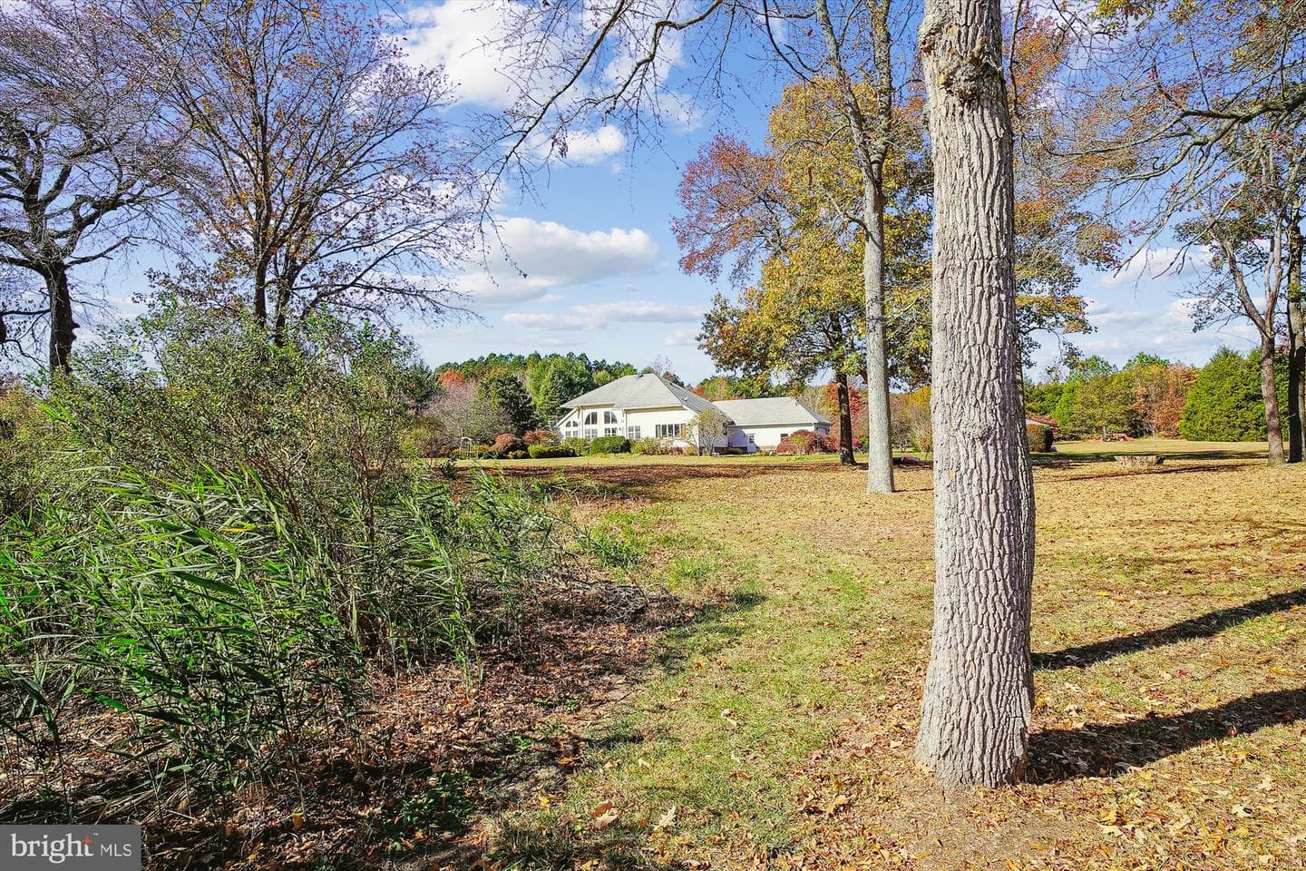 10425 Aberdeen Lane photo 70