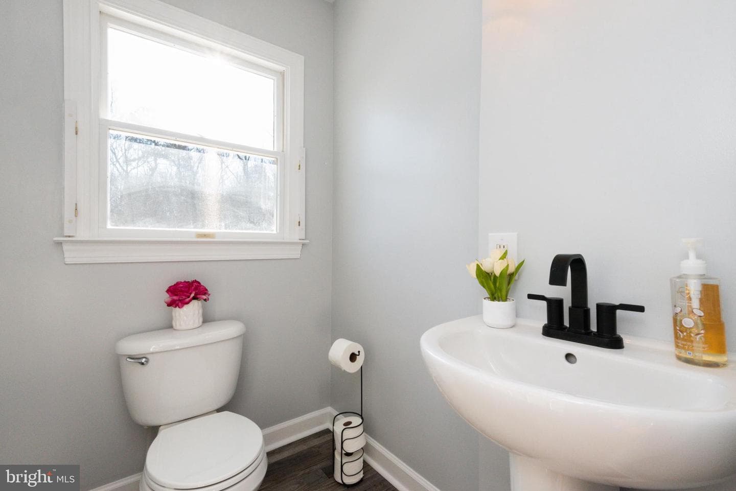 29679 Lexington Street photo 15