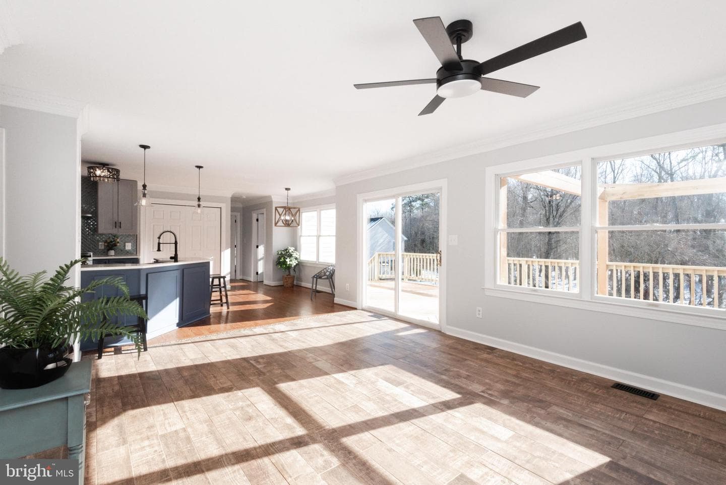 29679 Lexington Street photo 18