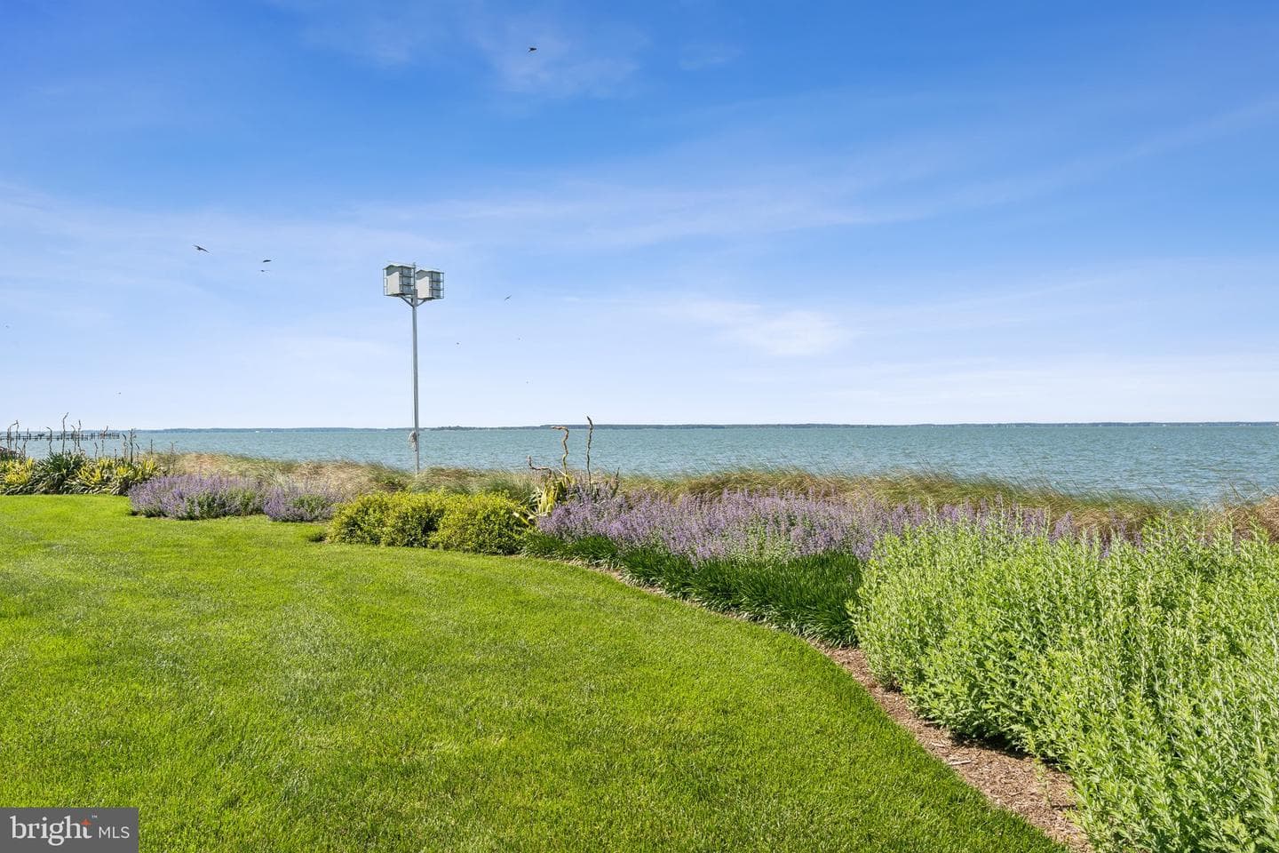 26025 Bachelors Harbor Drive photo 45