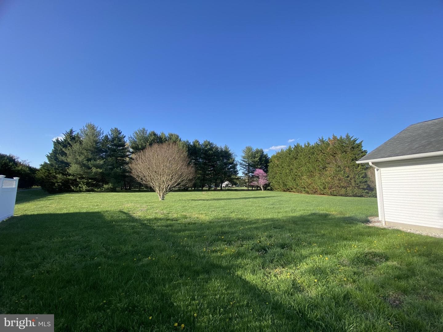 12750 Orchard Drive photo 11