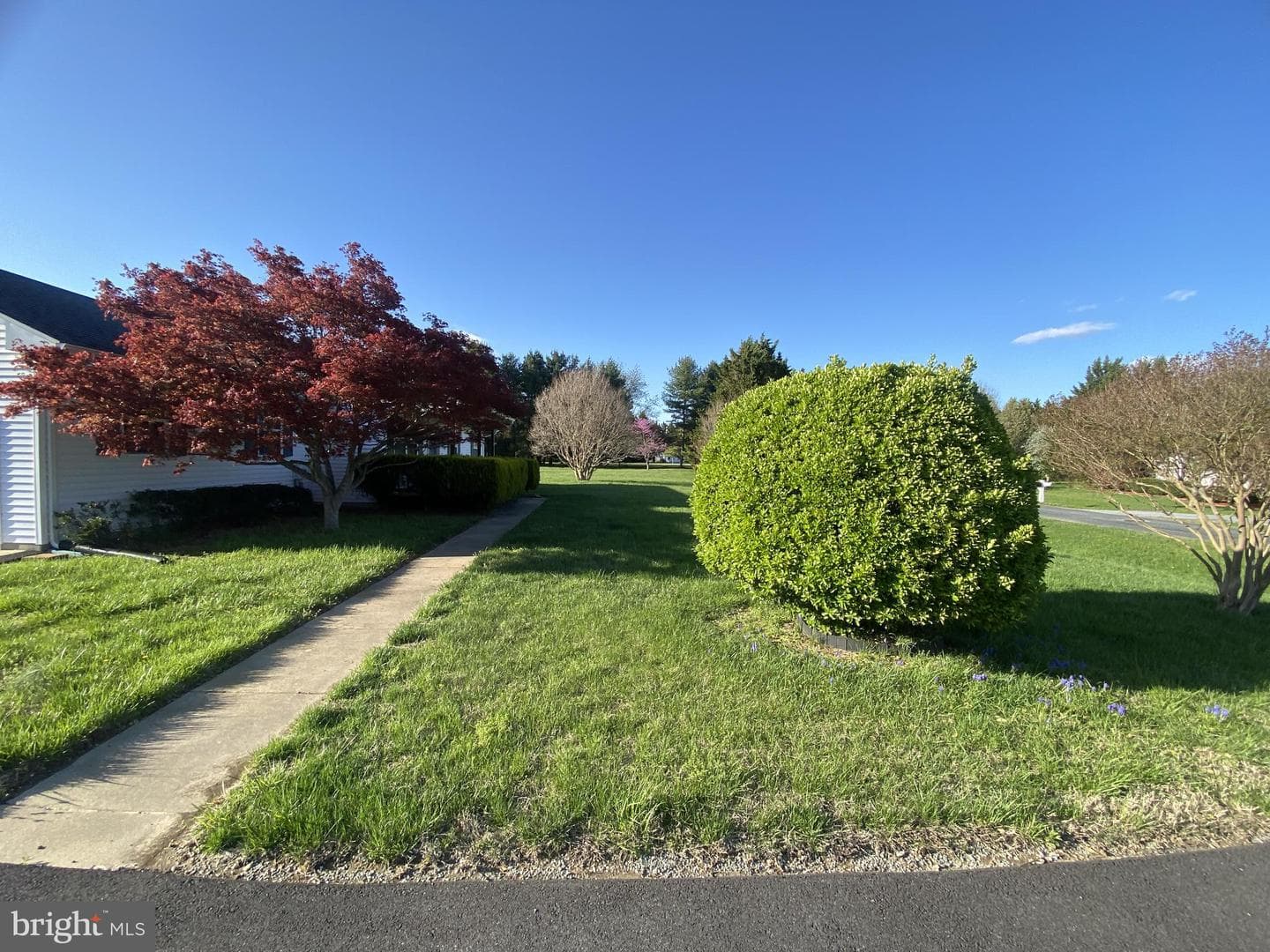12750 Orchard Drive photo 14