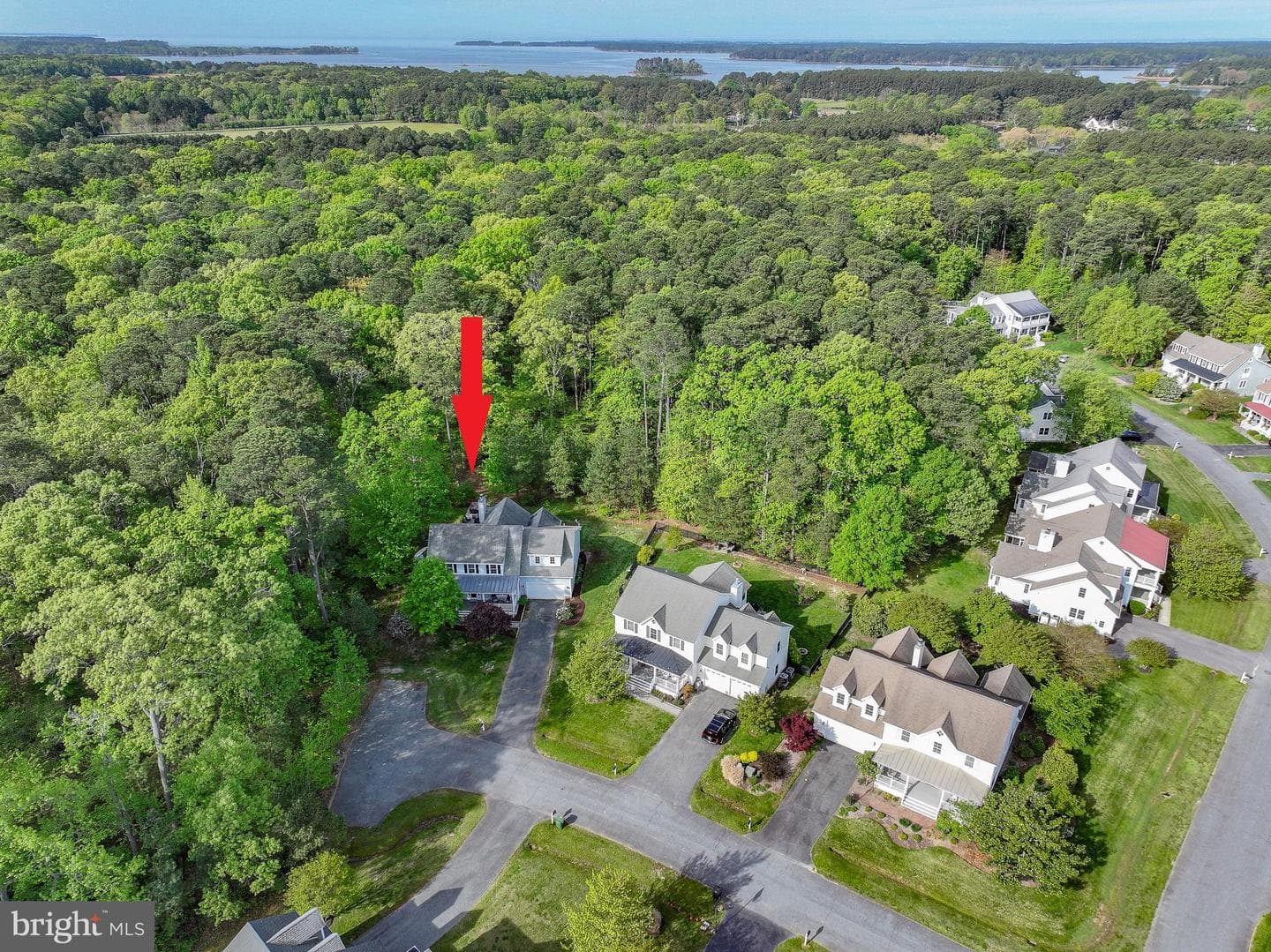7896 Hart Glen photo 2