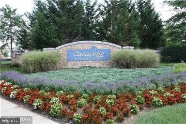 7444 Jeffreys Way photo 40