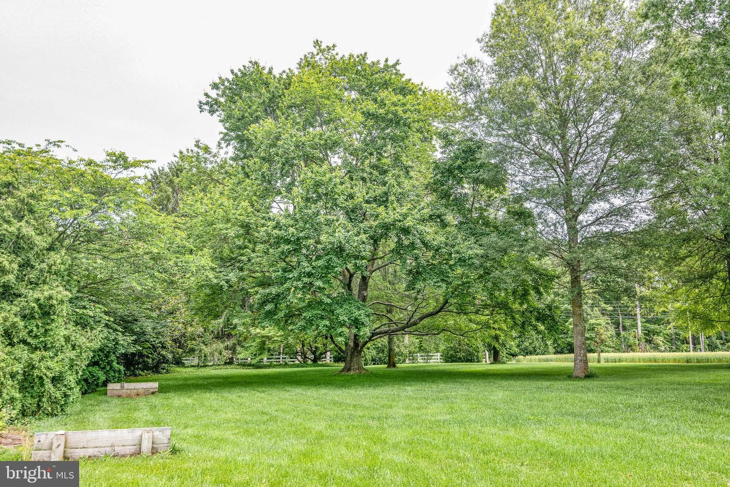 30131 Dover Road photo 35