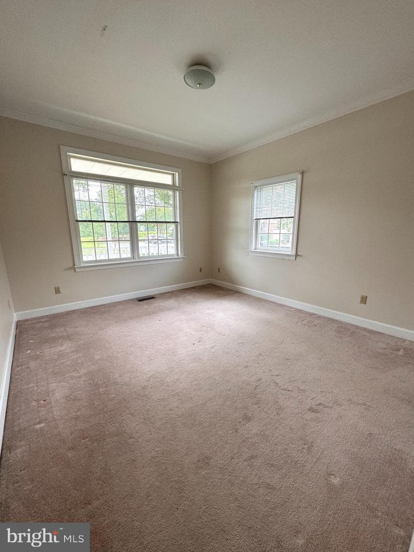 28520 Augusta Court photo 12