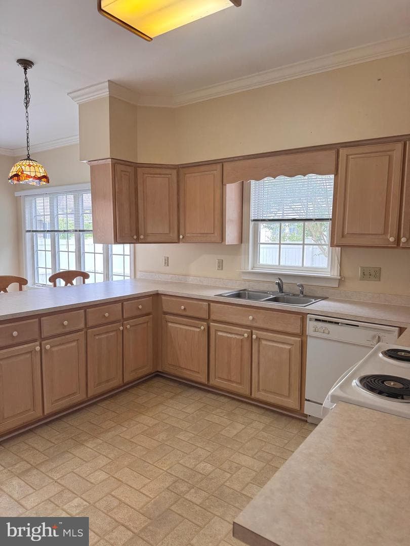 28520 Augusta Court photo 7