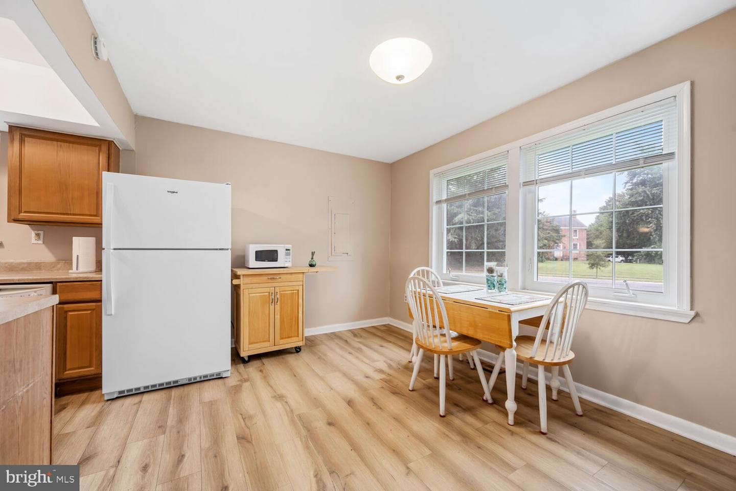 7347 Shirley Drive photo 17