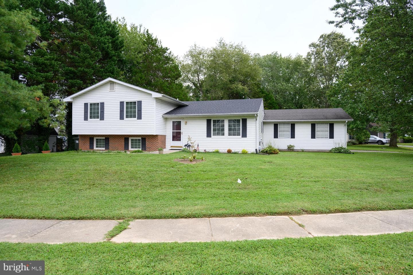 7347 Shirley Drive photo 8