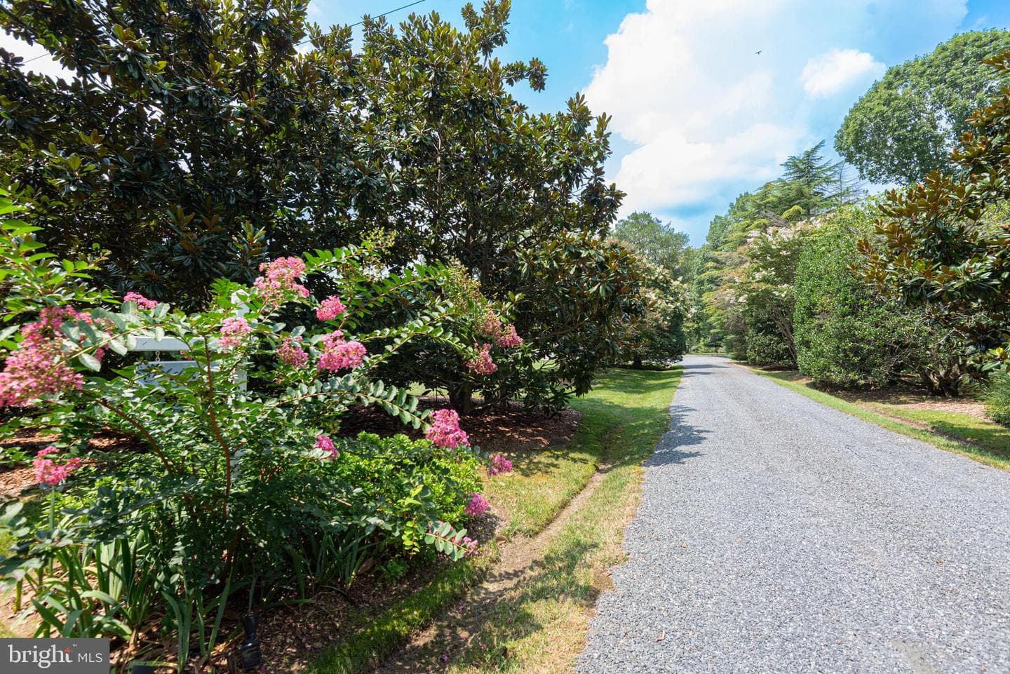 4500 Boone Creek Rd photo 104