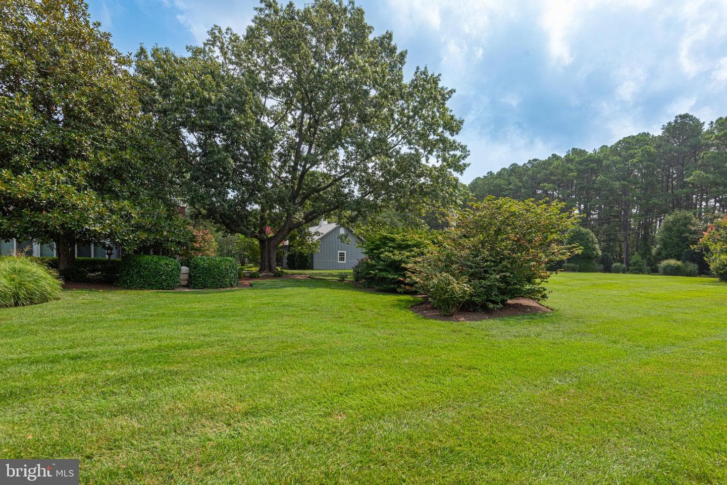 4500 Boone Creek Rd photo 121