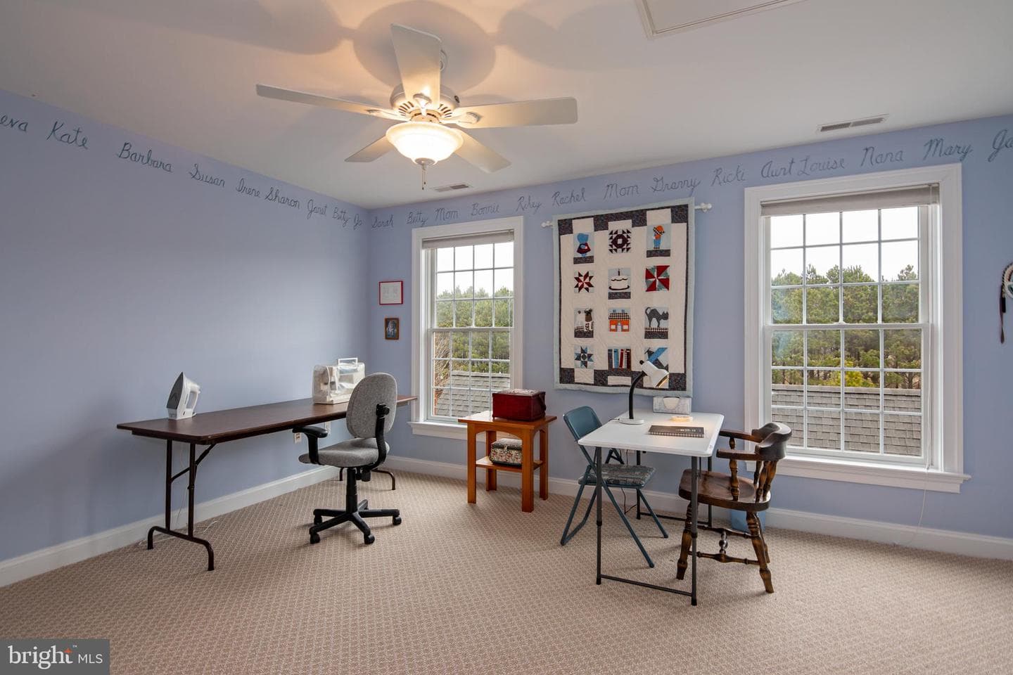 8781 Tilghman Island Road photo 50