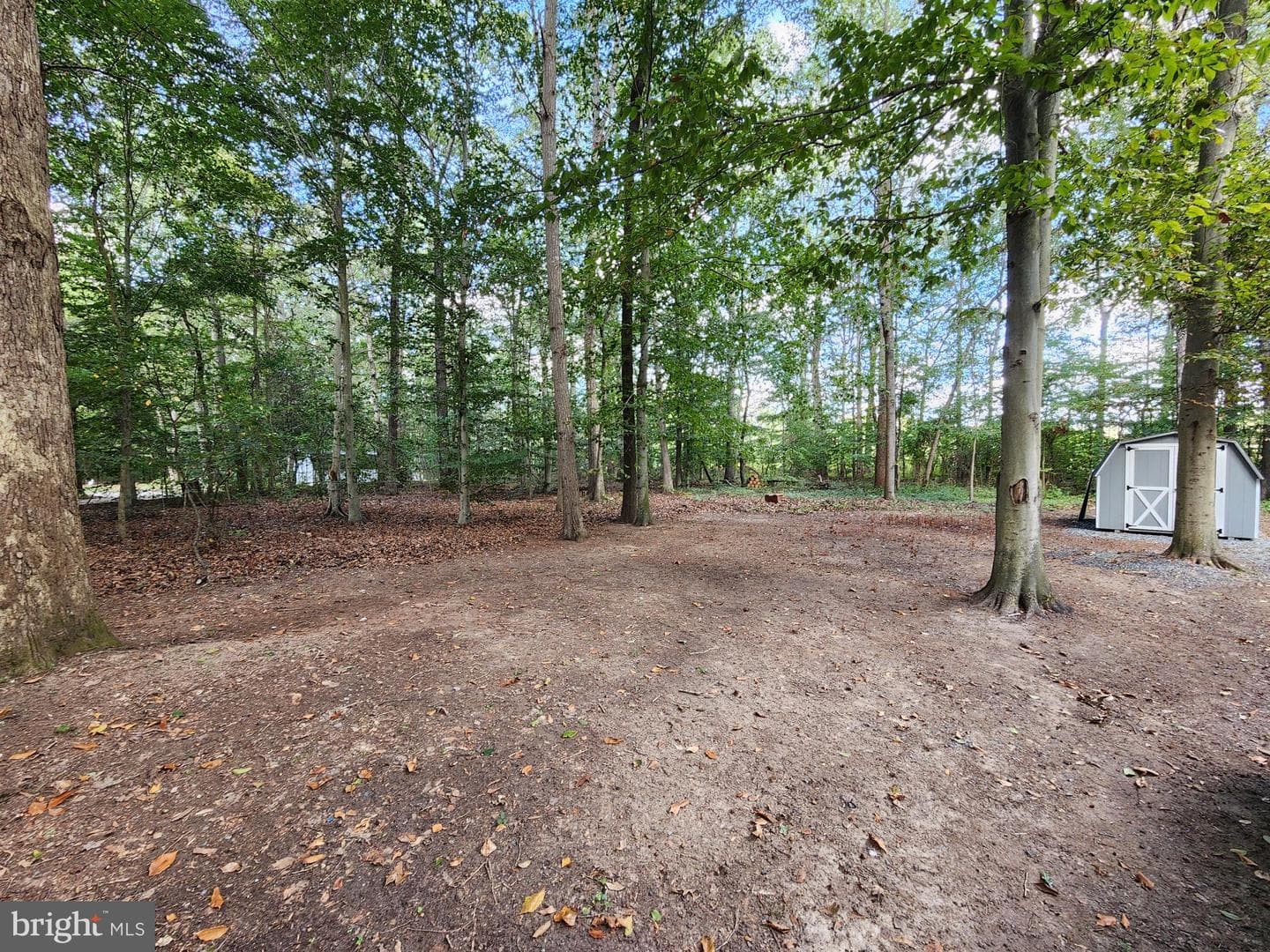 11633 Malvern Lane photo 10