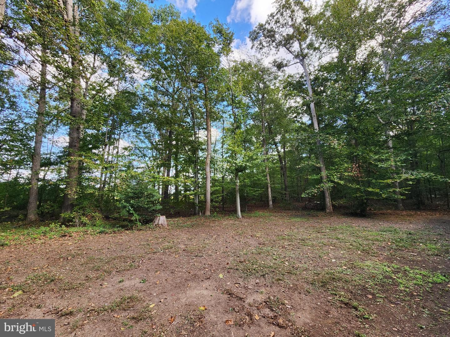 11633 Malvern Lane photo 9