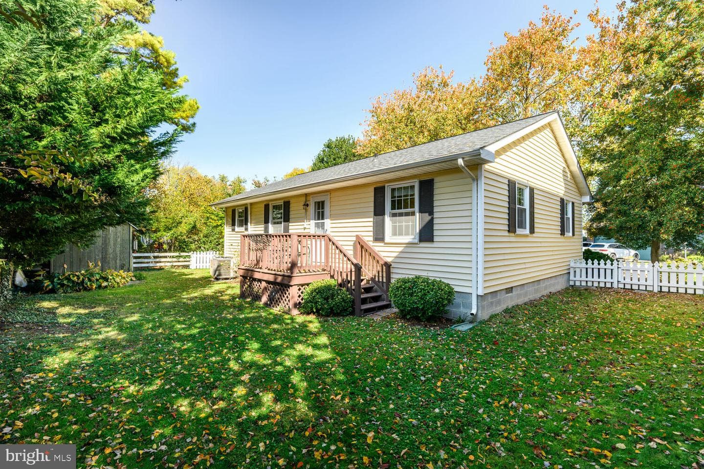 224 South Street photo 20