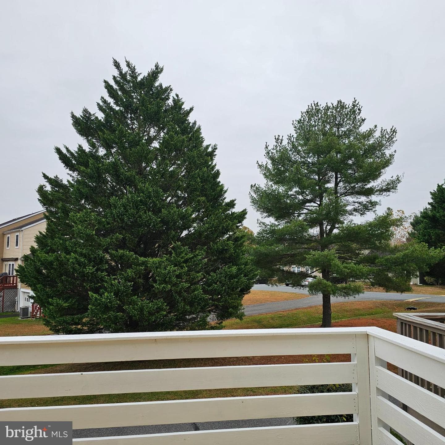 29595 Dutchmans Lane #602 photo 14