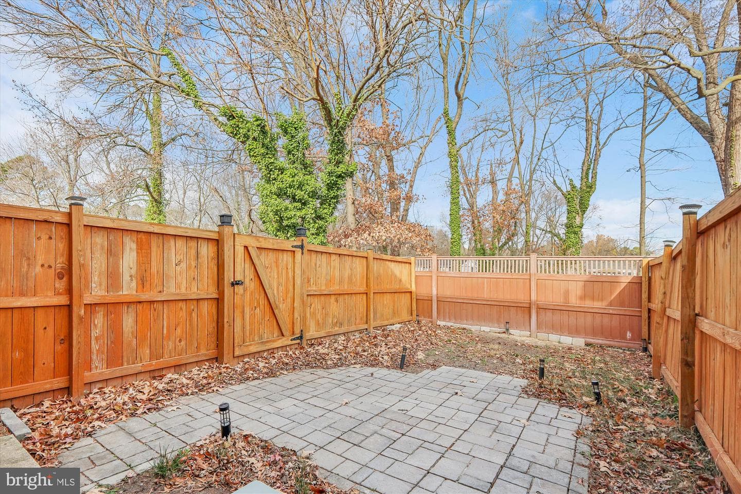209 Webb Lane photo 16
