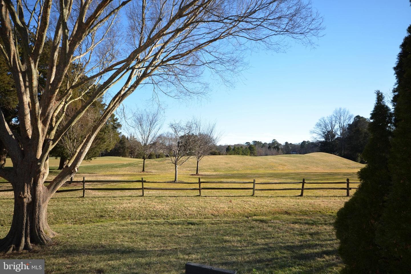 9529 Quail Hollow #504 photo 5
