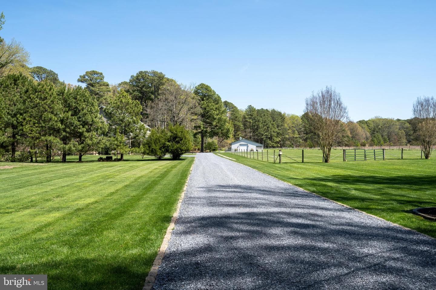 7909 Church Neck photo 10