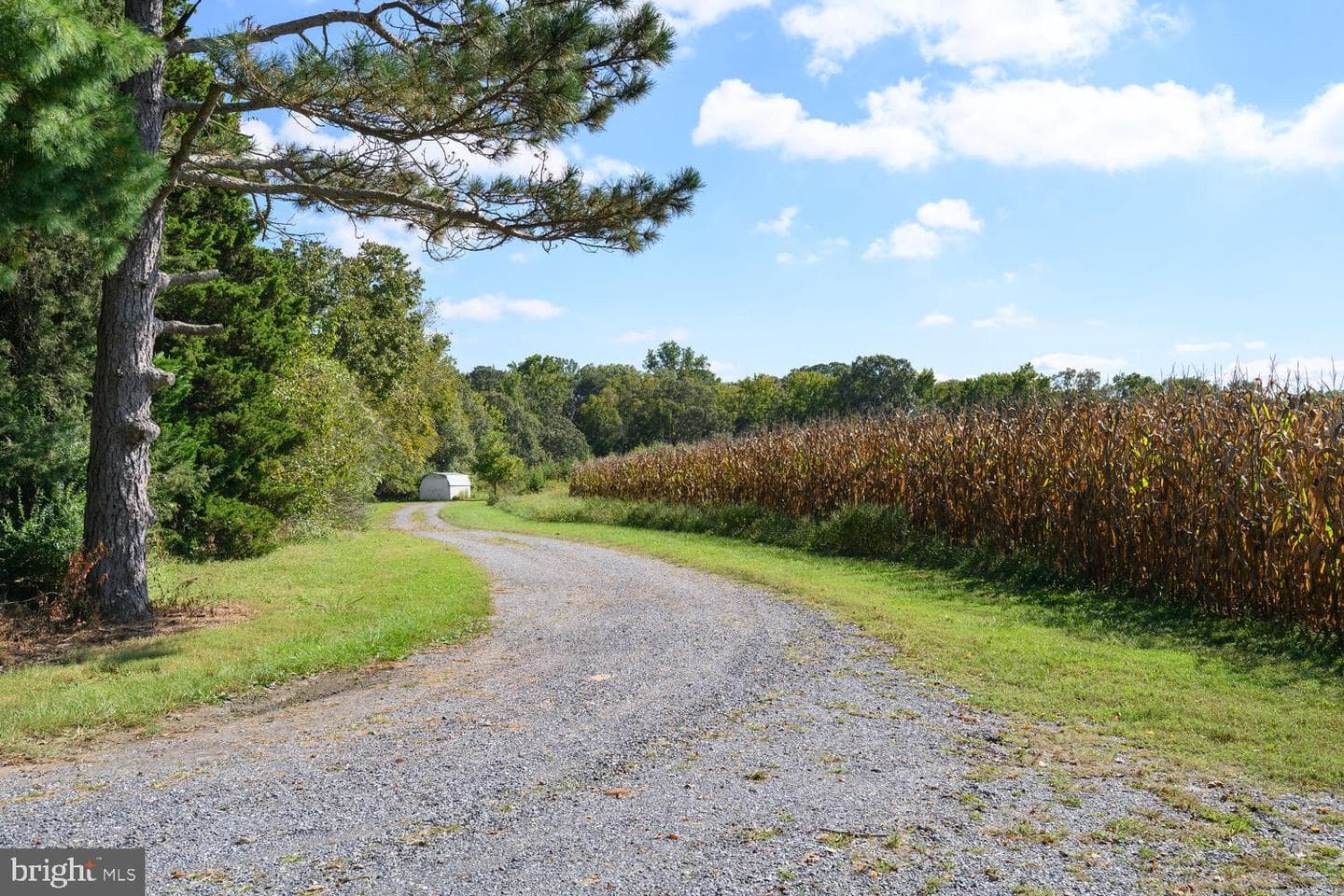 28923 Island Creek Road photo 24
