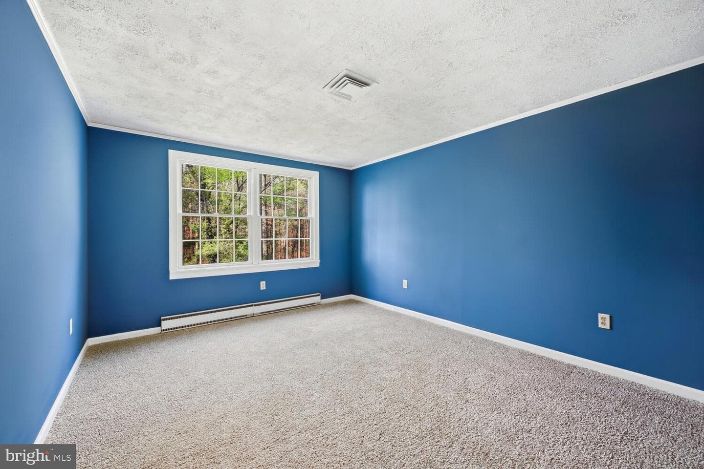 10118 Hiners Lane photo 29