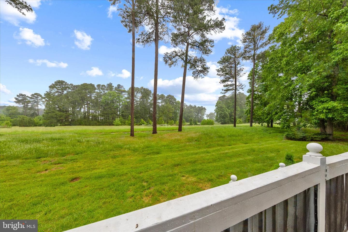 7407 Tour Drive photo 35