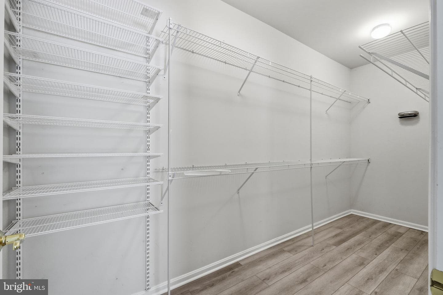 29868 Nicholas Way photo 18