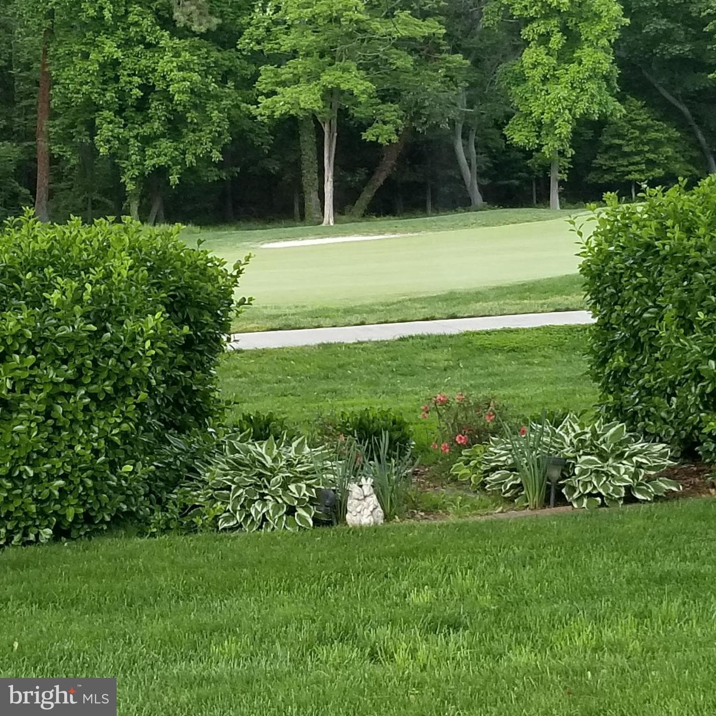24580 Deepwater Point photo 4