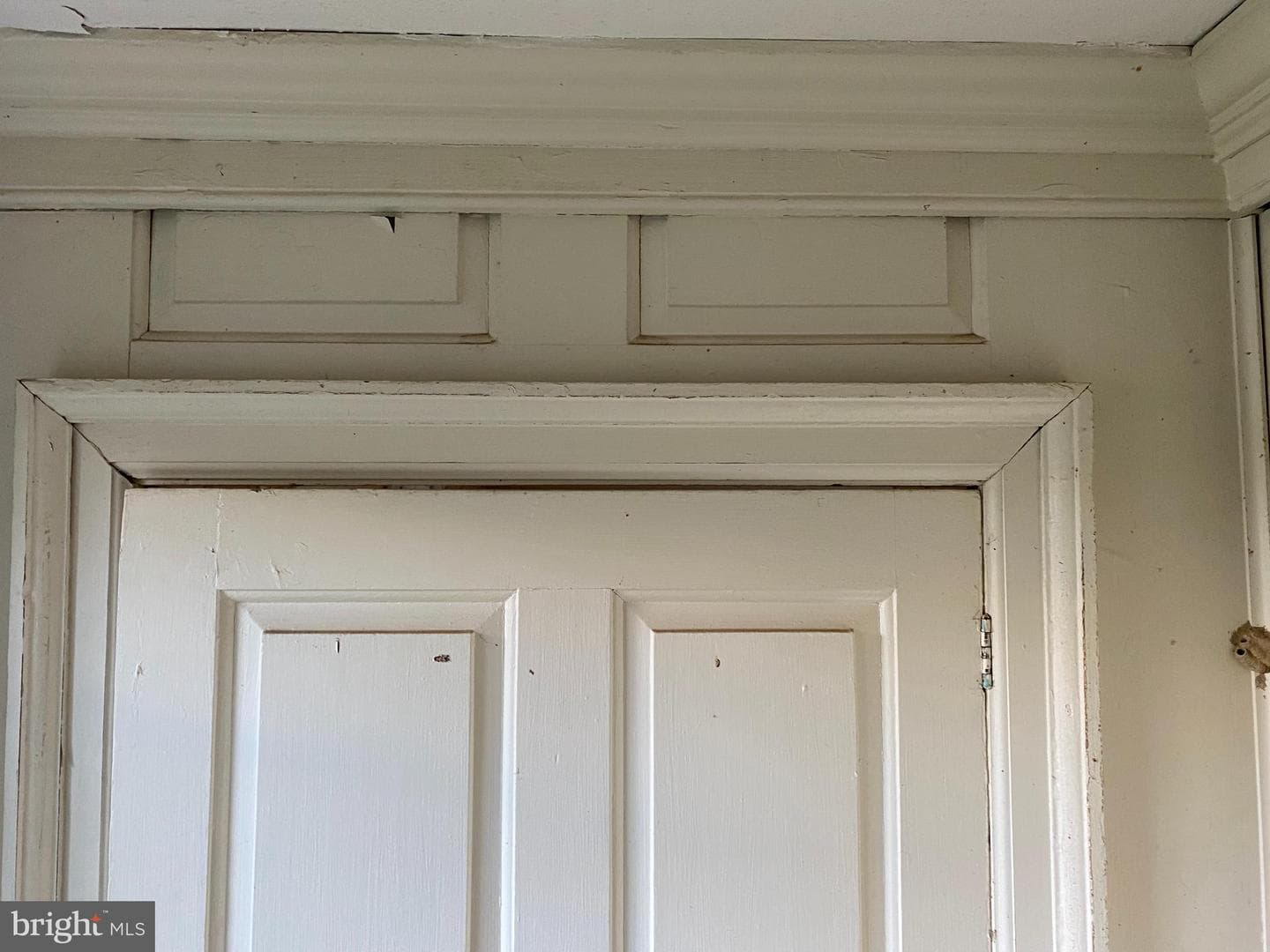 7346 Shirley Drive photo 29