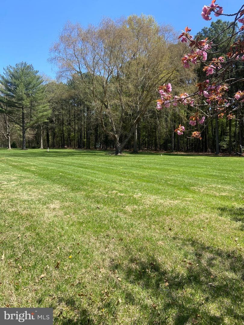 6976 Travelers Rest Circle photo 19
