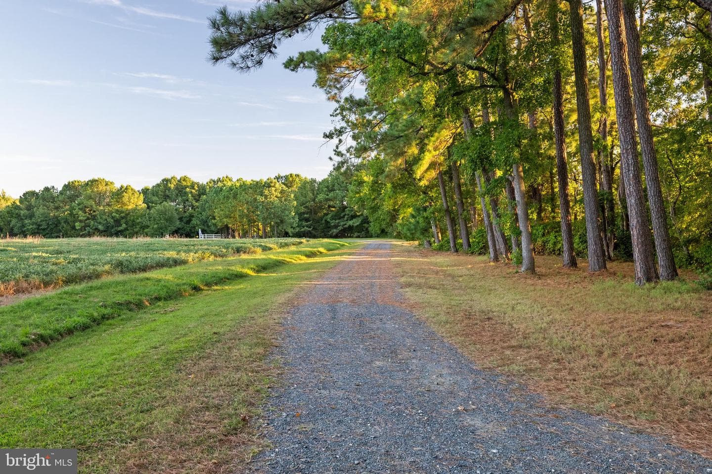 24390 Deep Neck Farm Lane photo 105