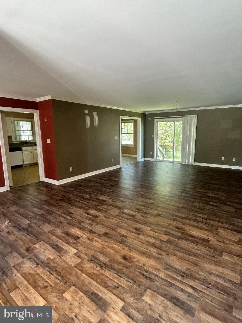 29775 Wye Oak Street photo 9