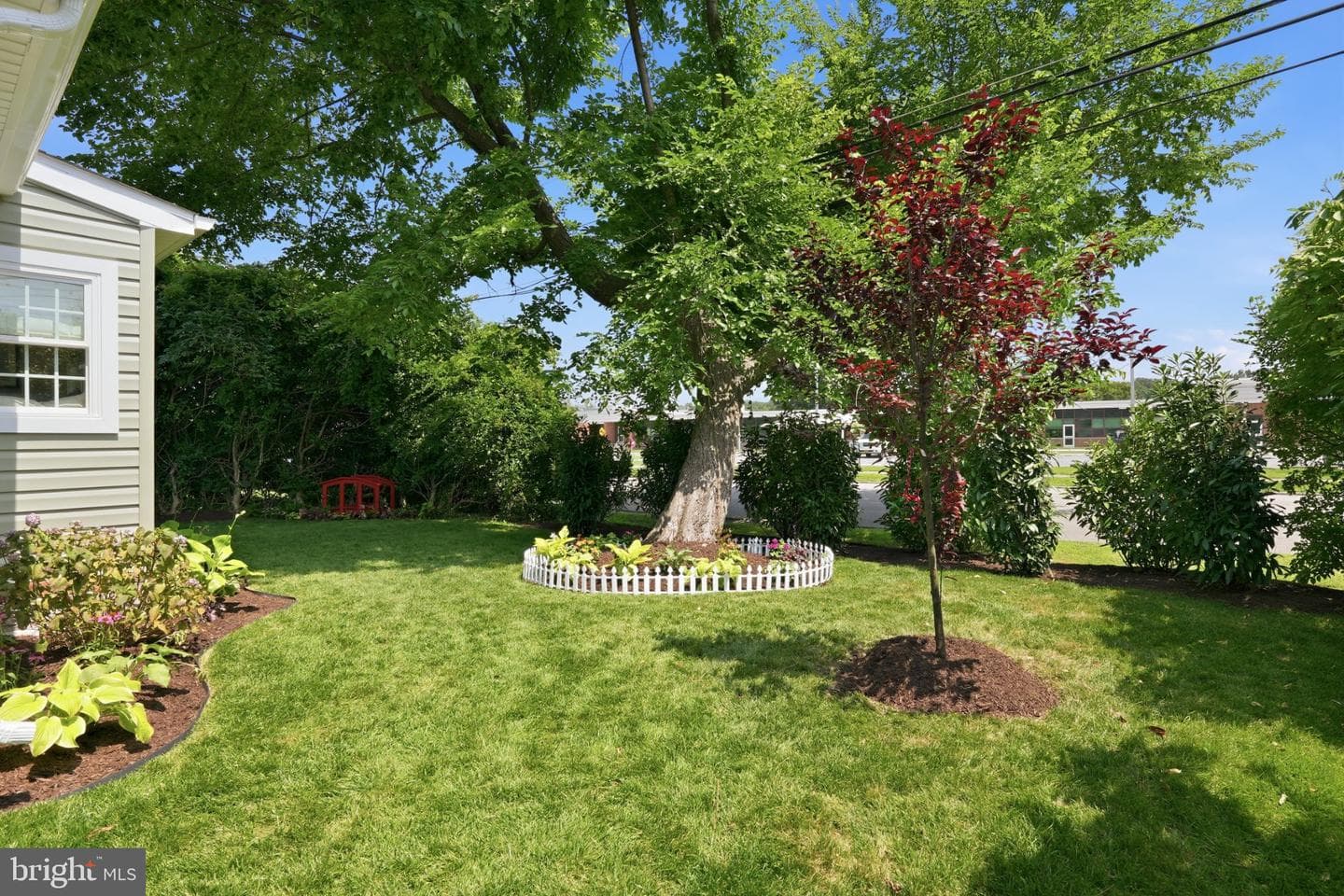 803 New Lane photo 4