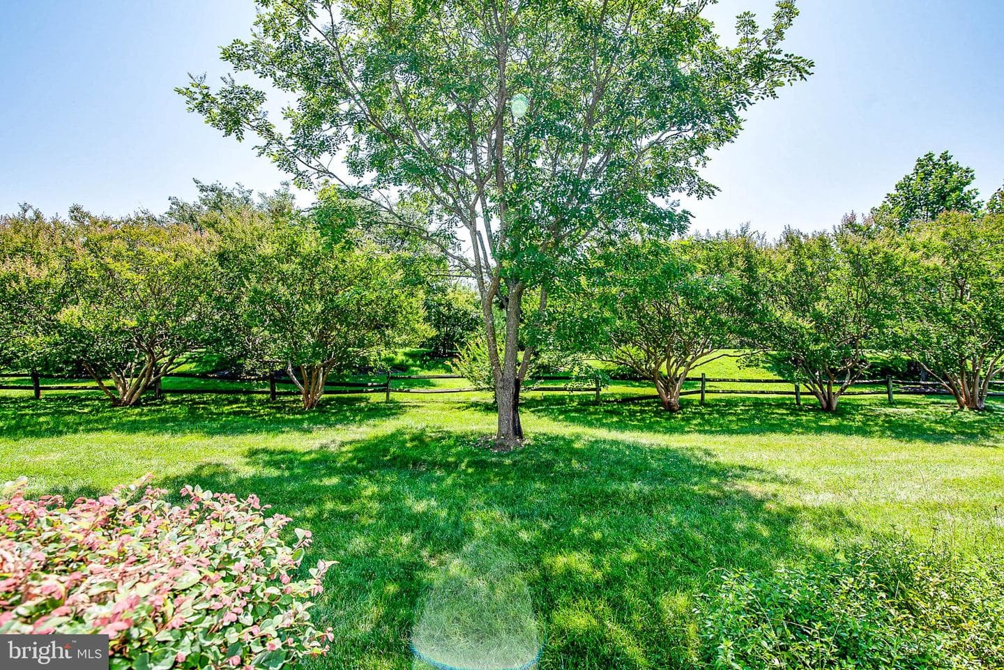 9531 Quail Hollow Drive #405 photo 15