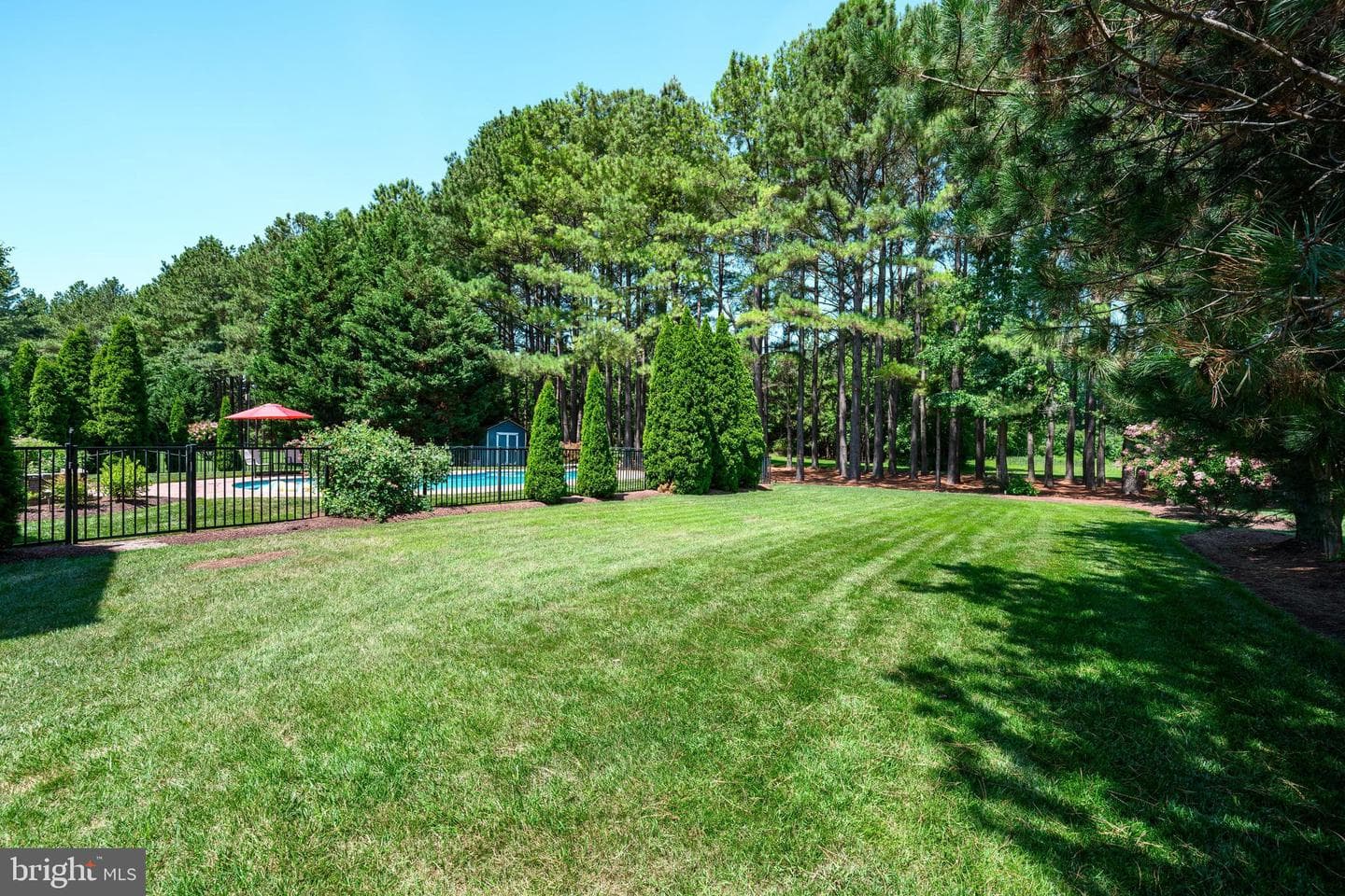 13446 Blackberry Lane photo 65