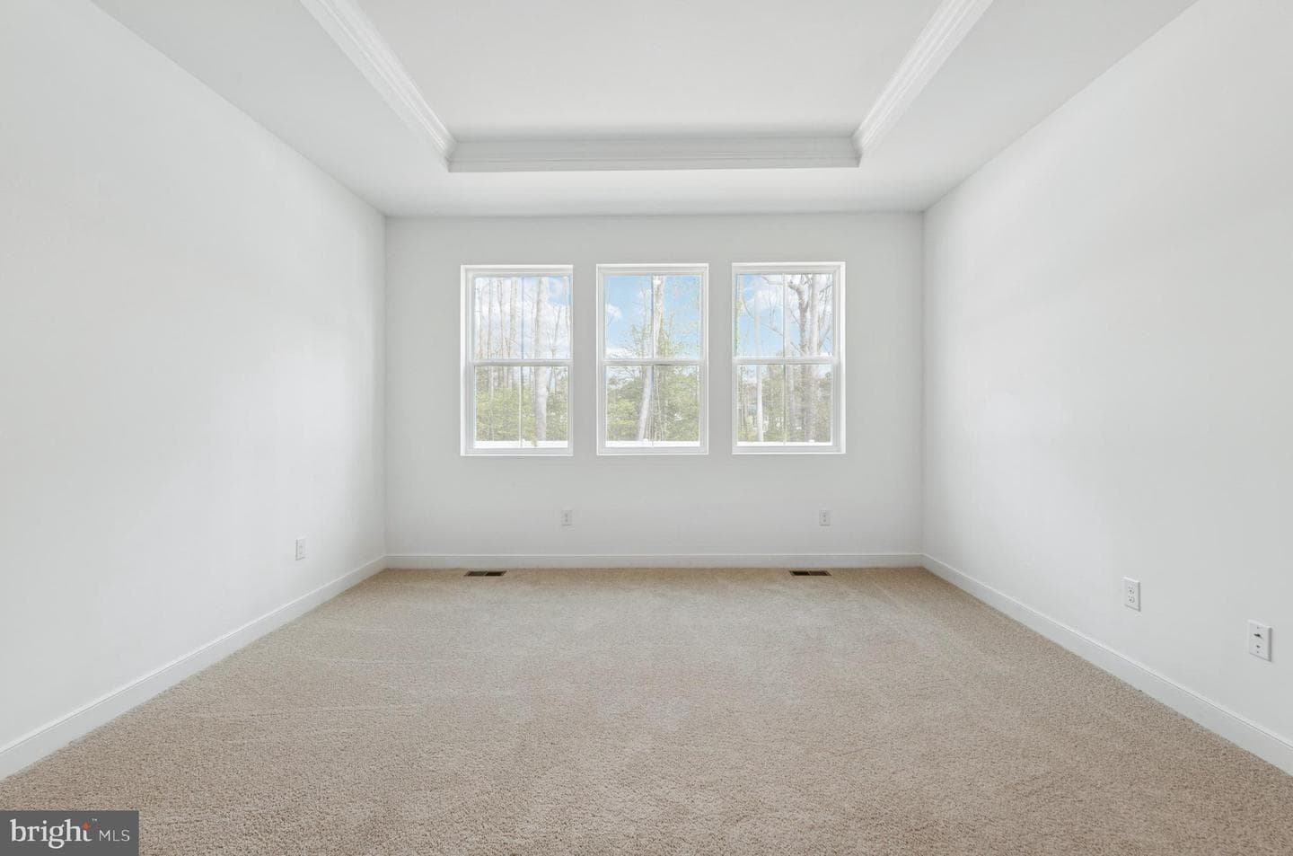 29347 Blackiston Street photo 20