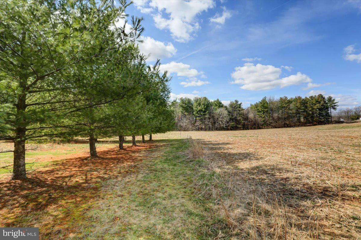 15530 Mobile Road photo 42