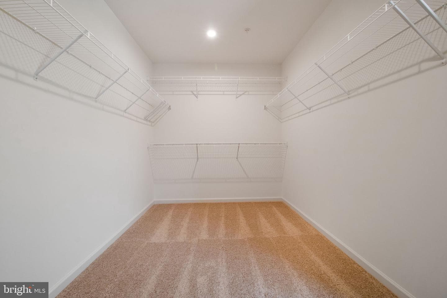 9343 Alloway Drive photo 57